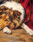 Cross Stitch Kit Luca - S - A Reluctant Companion, B585 - Luca - S Yarns