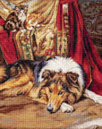 Cross Stitch Kit Luca - S - A Reluctant Companion, B585 - Luca - S Yarns