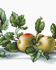 Cross Stitch Kit Luca - S - Apples, B2265 - Luca - S Yarns