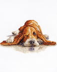 Cross Stitch Kit Luca - S - Basset, B2341 - Luca - S Yarns