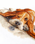 Cross Stitch Kit Luca - S - Basset, B2341 - Luca - S Yarns