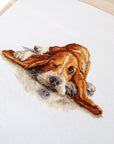 Cross Stitch Kit Luca - S - Basset, B2341 - Luca - S Yarns