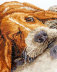 Cross Stitch Kit Luca - S - Basset, B2341 - Luca - S Yarns