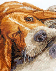 Cross Stitch Kit Luca - S - Basset, B2341 - Luca - S Yarns