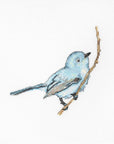 Cross Stitch Kit Luca - S - Blue Bird, B1158 - Luca - S Yarns