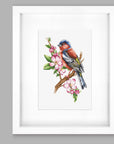 Cross Stitch Kit Luca - S - Chaffinch Bird, B1196 - Luca - S Yarns
