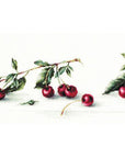 Cross Stitch Kit Luca - S - Cherry, B2252 - Luca - S Yarns