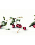 Cross Stitch Kit Luca - S - Cherry, B2252 - Luca - S Yarns