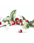 Cross Stitch Kit Luca - S - Etude with Strawberries, B2254 - Luca - S Yarns