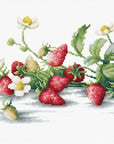 Cross Stitch Kit Luca - S - Etude with Strawberries, B2266 - Luca - S Yarns