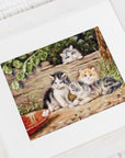 Cross Stitch Kit Luca - S - Kittens, B556 - Luca - S Yarns