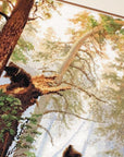 Cross Stitch Kit Luca - S - Morning in a pine forest, B452 - Luca - S Yarns