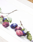 Cross Stitch Kit Luca - S - Plums, B2257 - Luca - S Yarns