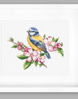 Cross Stitch Kit Luca - S - The blue tit, B1195 - Luca - S Yarns