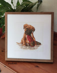 Cross Stitch Kit Luca - S - The Boxer, B2338 - Luca - S Yarns