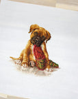 Cross Stitch Kit Luca - S - The Boxer, B2338 - Luca - S Yarns