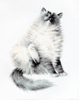 Cross Stitch Kit Luca - S - The Micky Kitty, B2269 - Luca - S Yarns