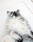 Cross Stitch Kit Luca - S - The Micky Kitty, B2269 - Luca - S Yarns