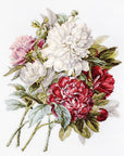 Cross Stitch Kit Luca - S - The Peonies, B2355 - Luca - S Yarns