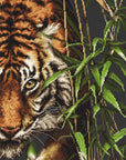 Cross Stitch Kit Luca - S - Tiger, B2356 - Luca - S Yarns