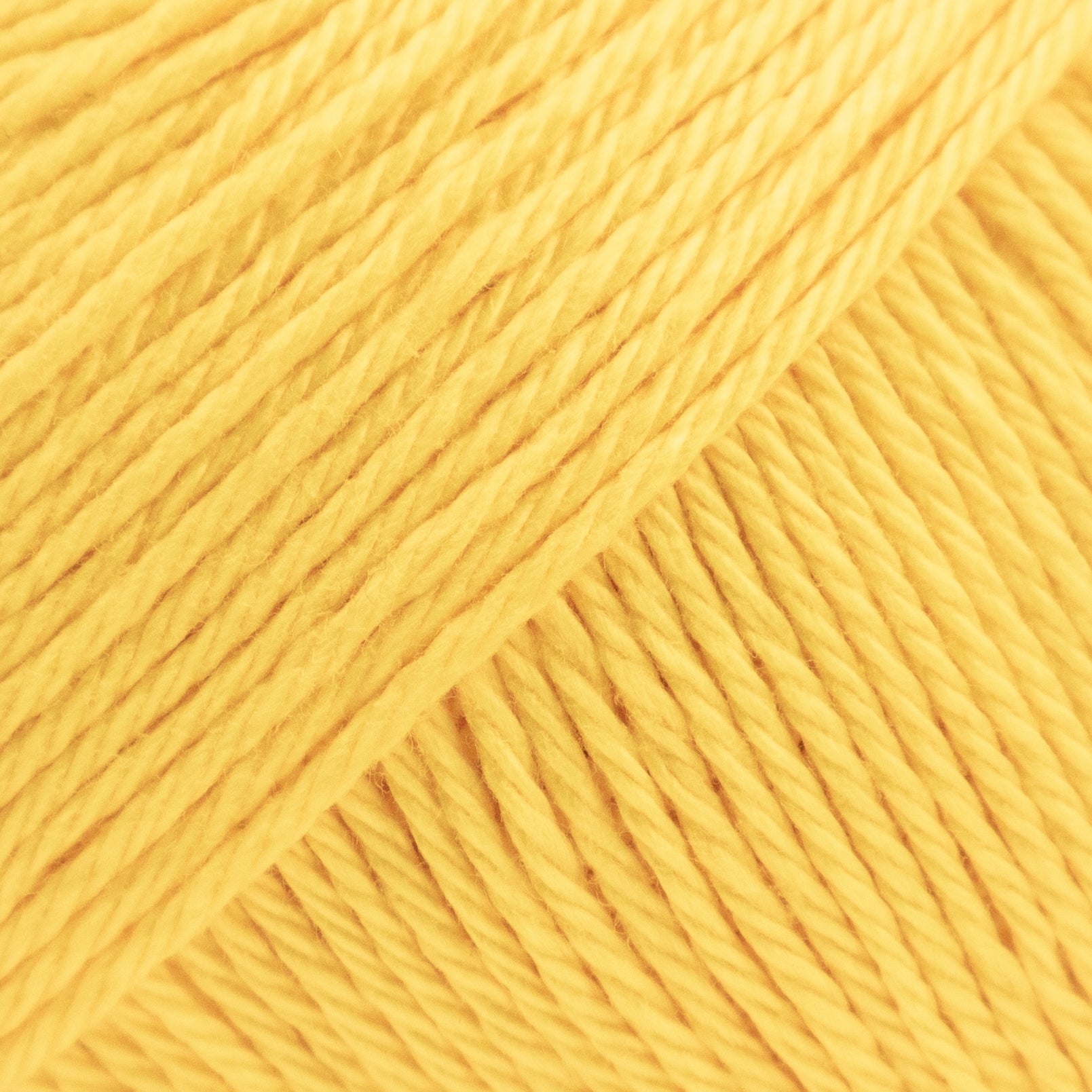 Luca - S Palermo - Luca - S Yarns