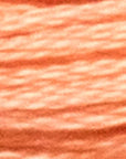Stranded Cotton Luca - S - 385 / DMC 3341 / Anchor 328 - Luca - S Yarns