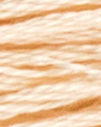Stranded Cotton Luca - S - 417 / DMC 951 / Anchor 778,881 - Luca - S Yarns