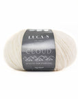 Luca-S Cloud