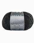 Luca-S Cloud