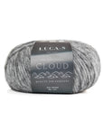 Luca-S Cloud