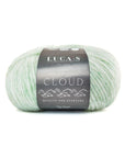 Luca-S Cloud