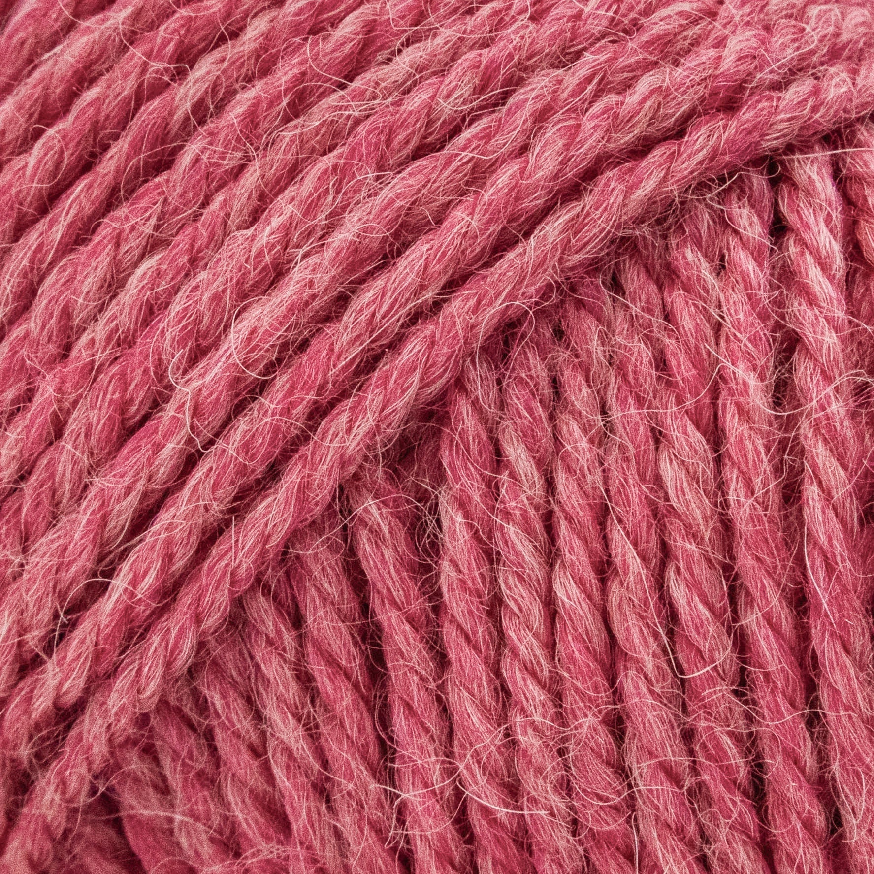 10 Pack Luca - S ALPAKITA - Luca - S Yarns