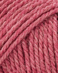 10 Pack Luca - S ALPAKITA - Luca - S Yarns