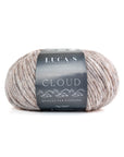 Luca-S Cloud