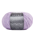 Luca-S Cloud