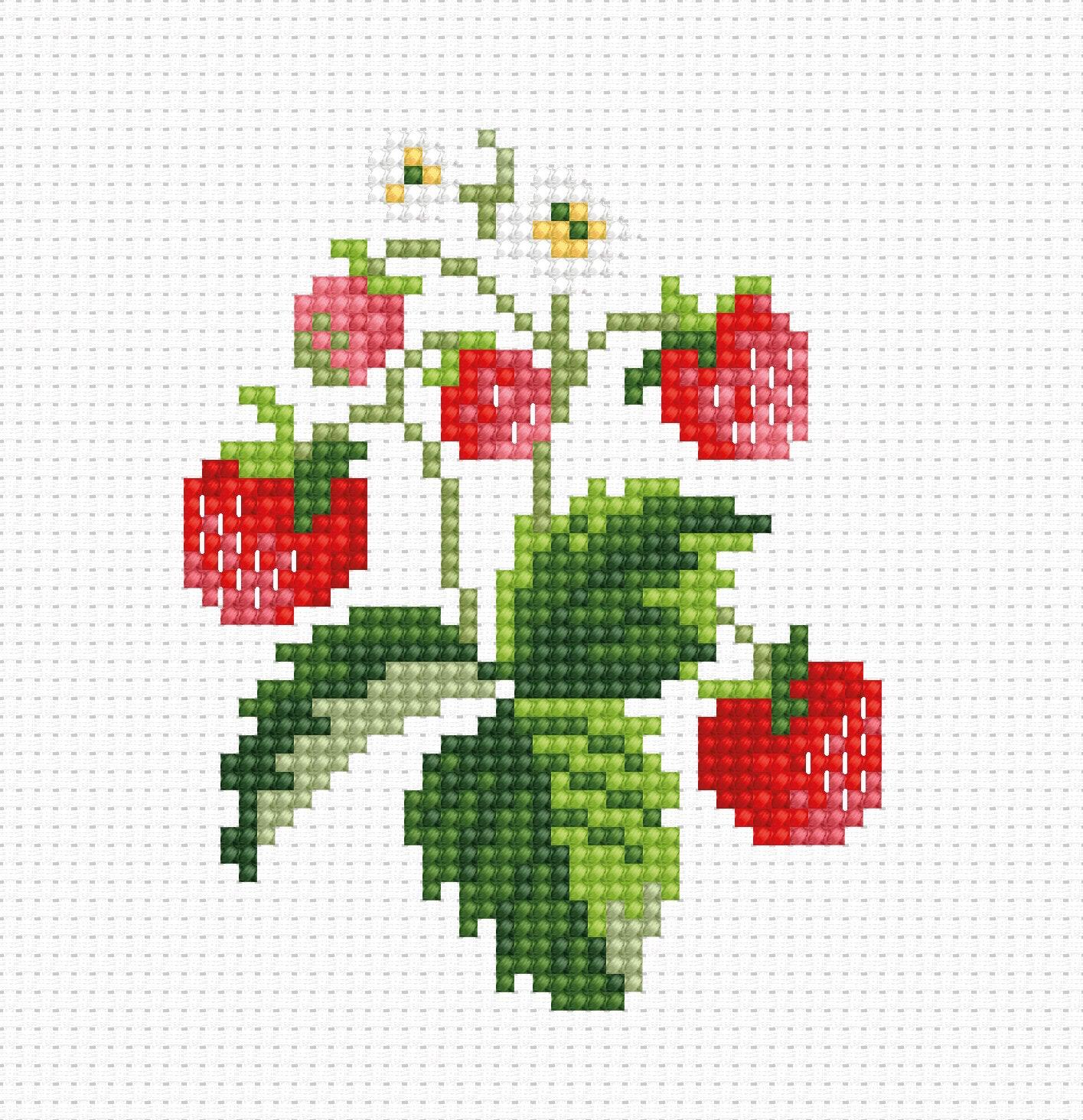Cross Stitch Kit for Beginners - Kids Embroidery Kit B015 - Luca - S Yarns