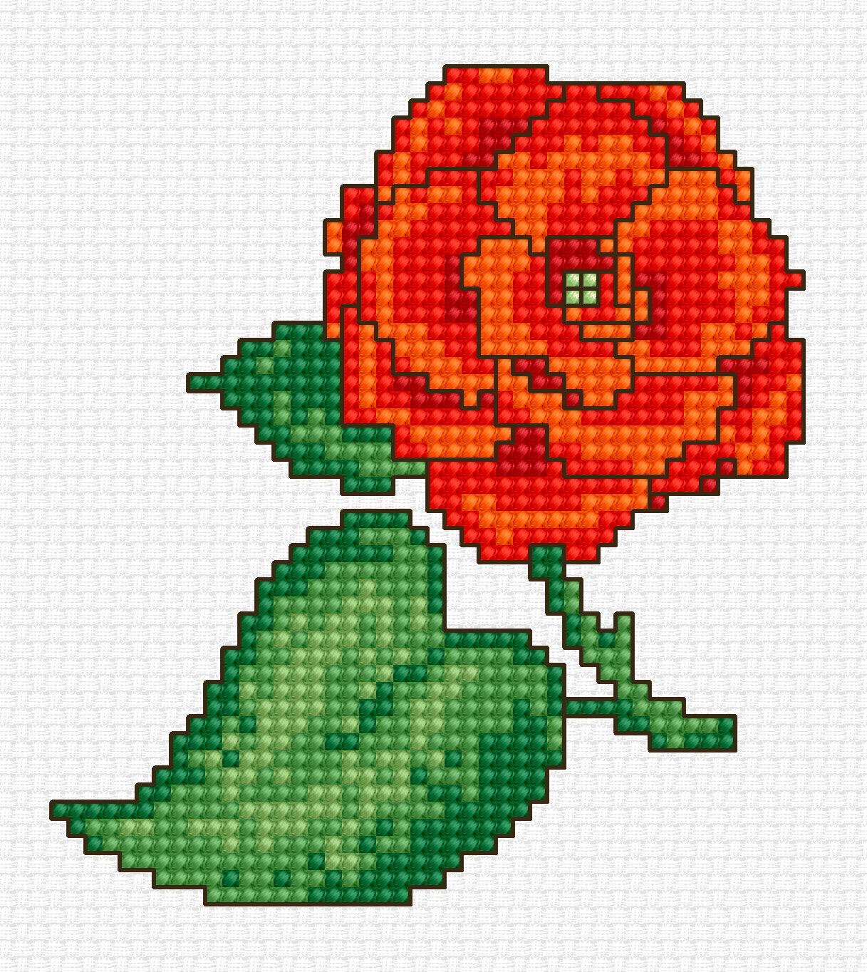 Cross Stitch Kit for Beginners - Kids Embroidery Kit B019 - Luca - S Yarns