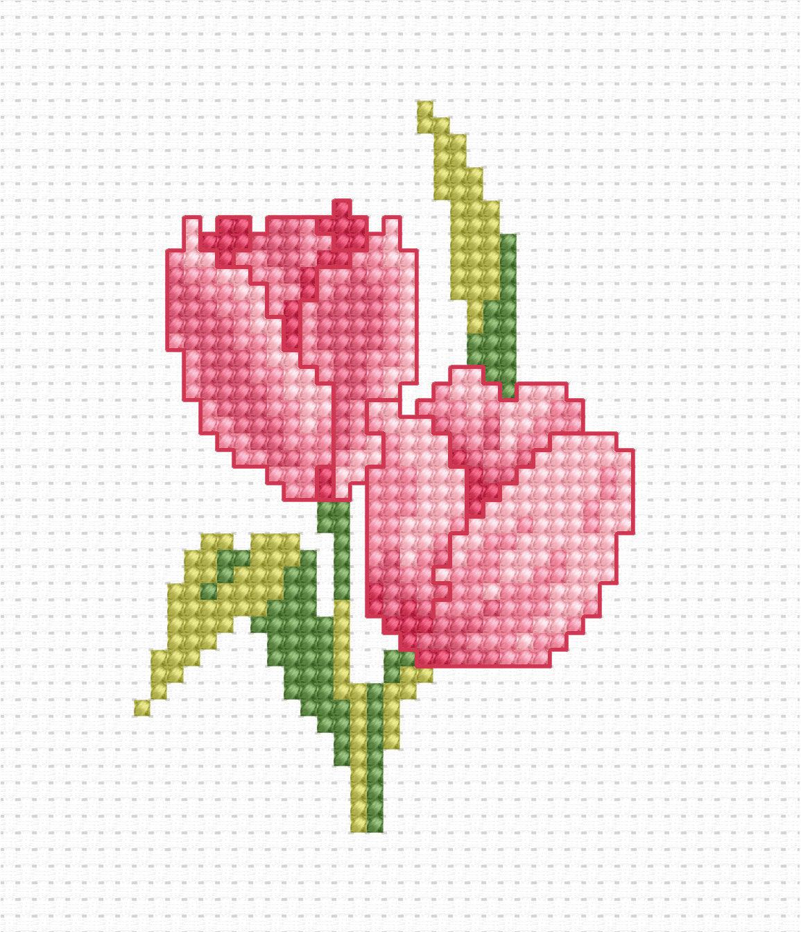 Cross Stitch Kit for Beginners - Kids Embroidery Kit B022 - Luca - S Yarns