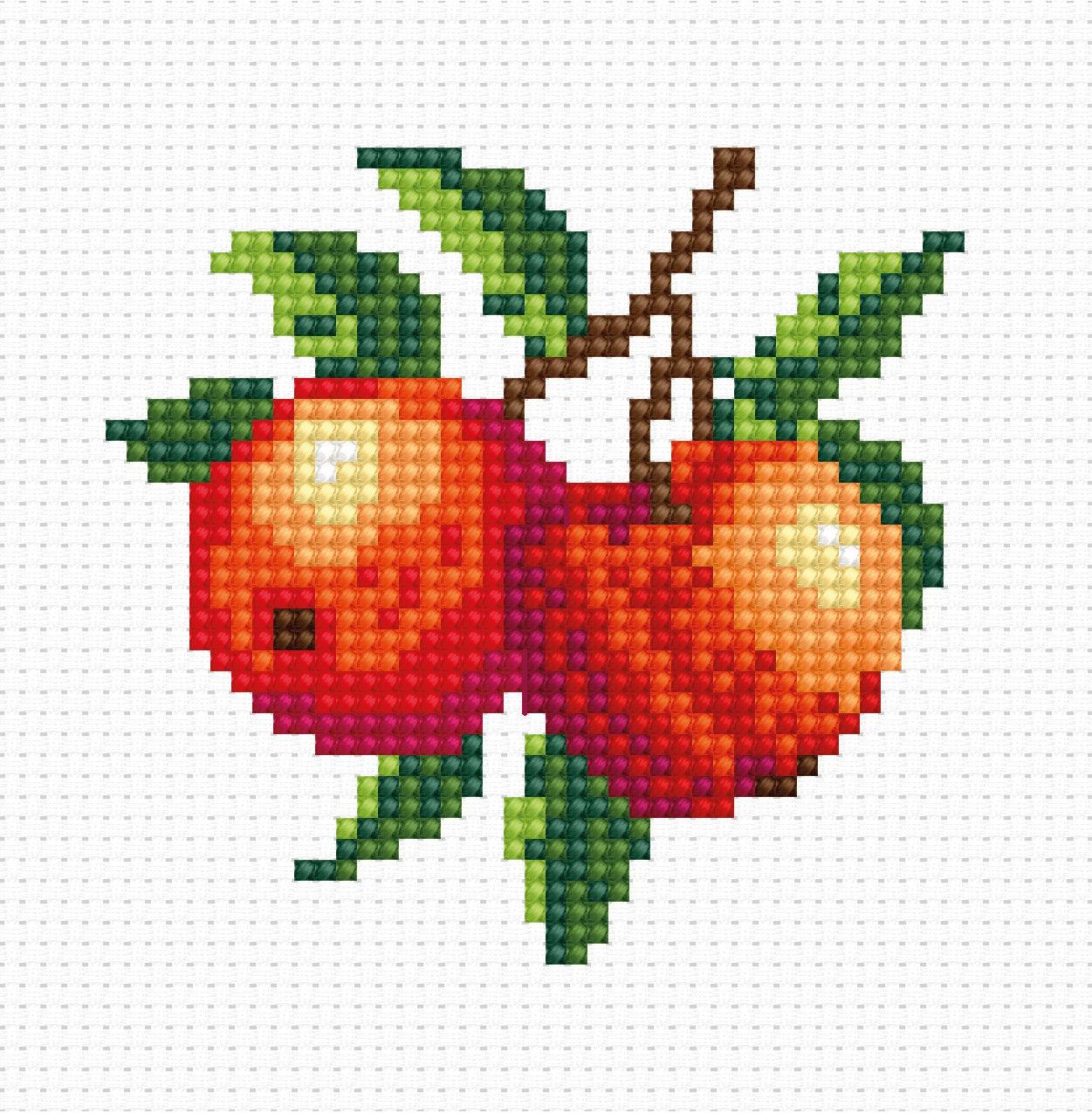Cross Stitch Kit for Beginners - Kids Embroidery Kit B028 - Luca - S Yarns