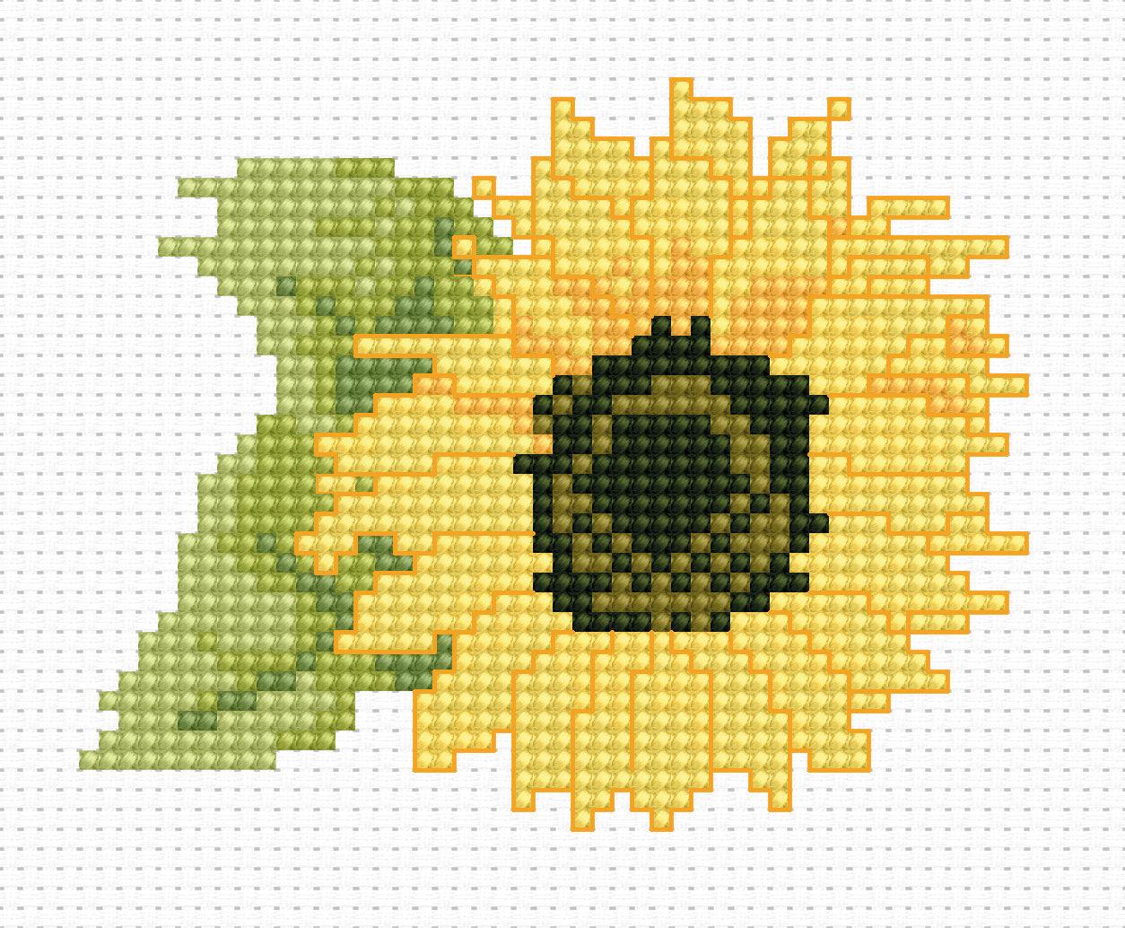 Cross Stitch Kit for Beginners - Kids Embroidery Kit B031 - Luca - S Yarns