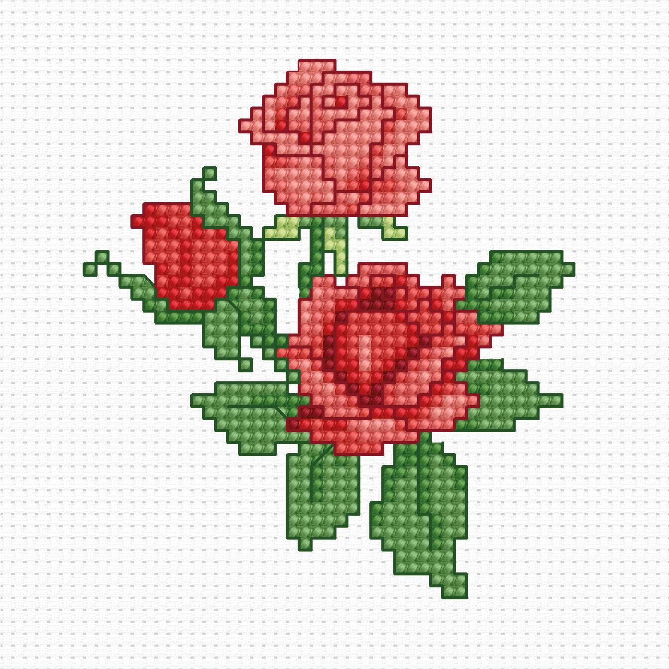 Cross Stitch Kit for Beginners - Kids Embroidery Kit B033 - Luca - S Yarns