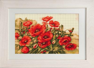 Cross Stitch Kit Luca - S - Luca - S Yarns