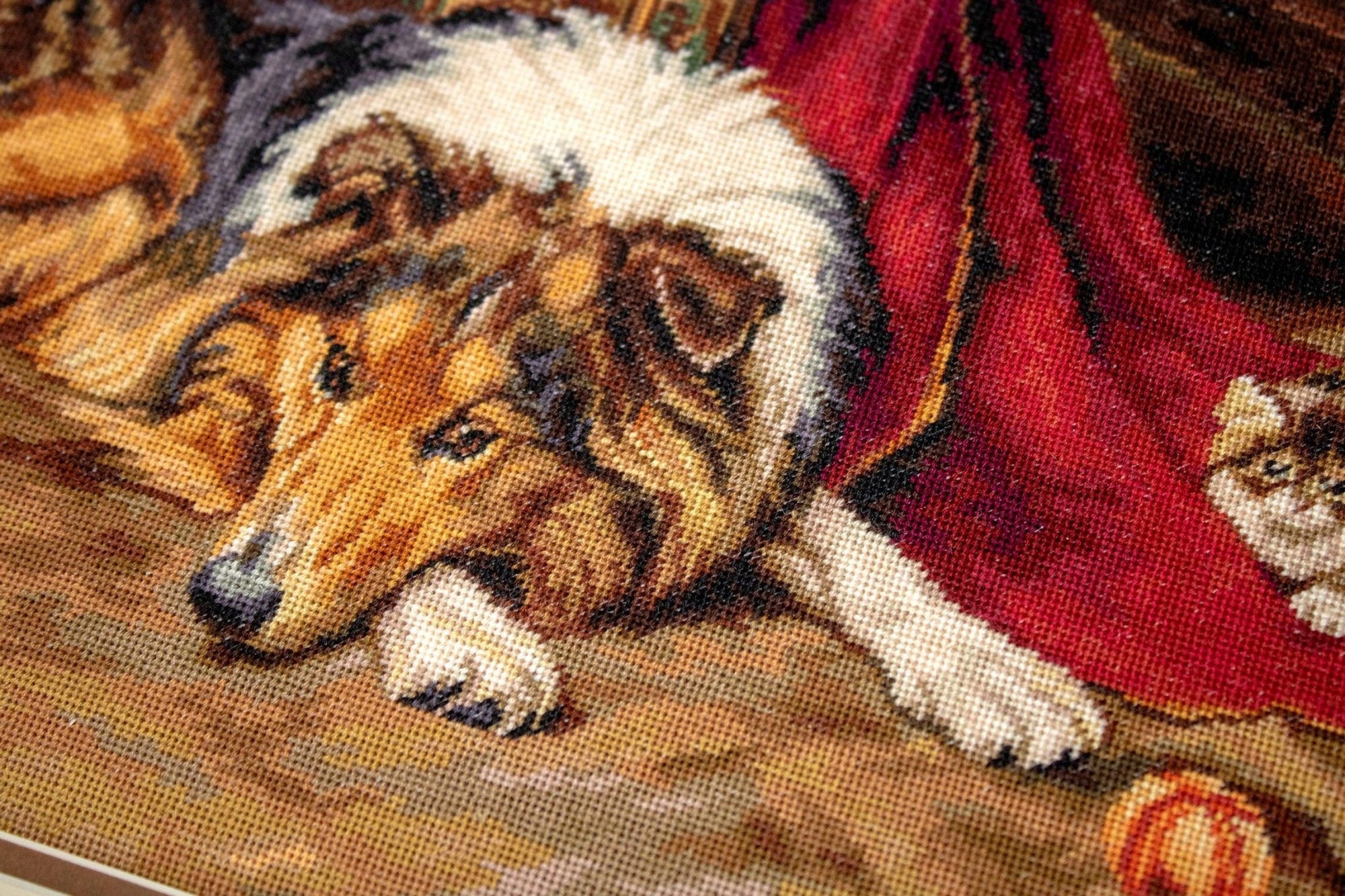 Cross Stitch Kit Luca - S - A Reluctant Companion, B585 - Luca - S Yarns