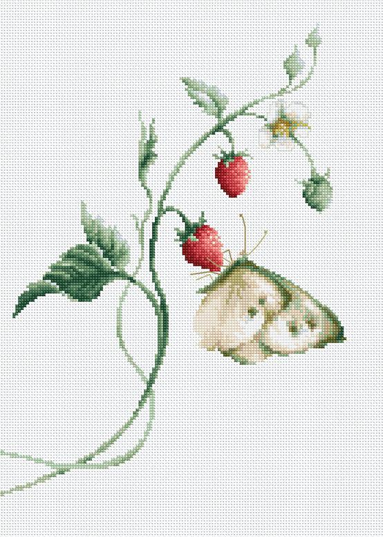 Cross Stitch Kit Luca - S - Aroma of Summer, B2268 - Luca - S Yarns
