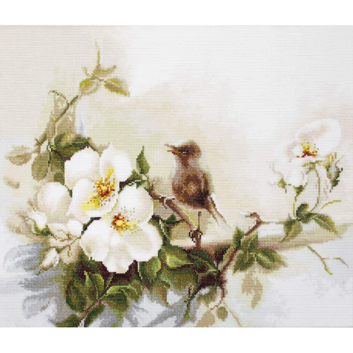 Cross Stitch Kit Luca - S - B2315 - Luca - S Yarns