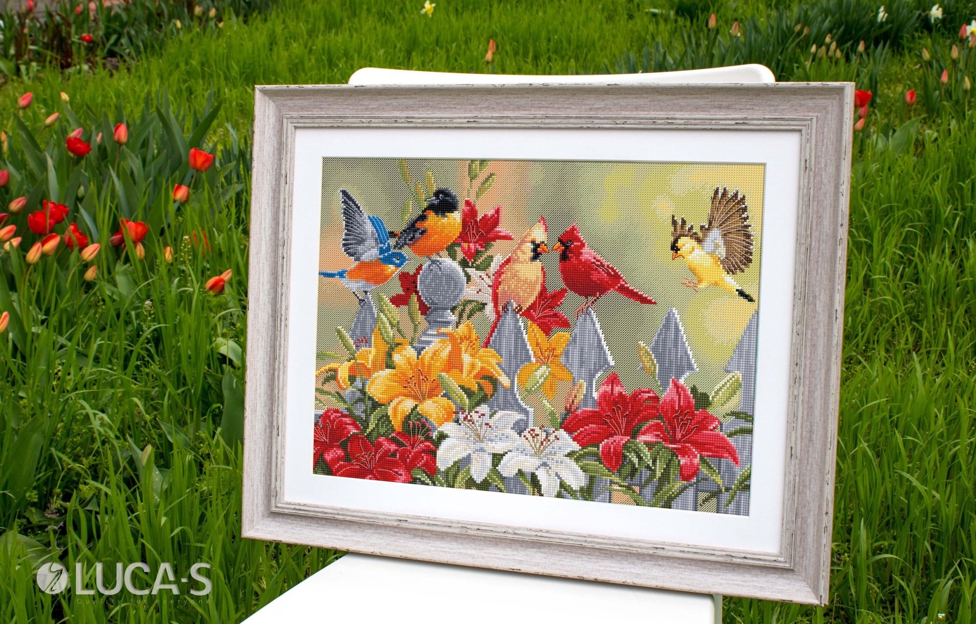 Cross Stitch Kit Luca - S - Backyard Birds with Daylilies, BU5024 - Luca - S Yarns