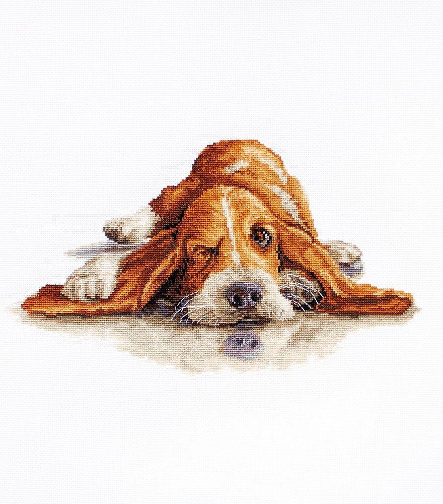 Cross Stitch Kit Luca - S - Basset, B2341 - Luca - S Yarns