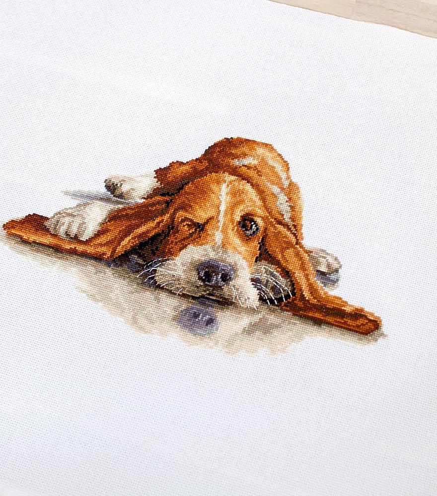 Cross Stitch Kit Luca - S - Basset, B2341 - Luca - S Yarns