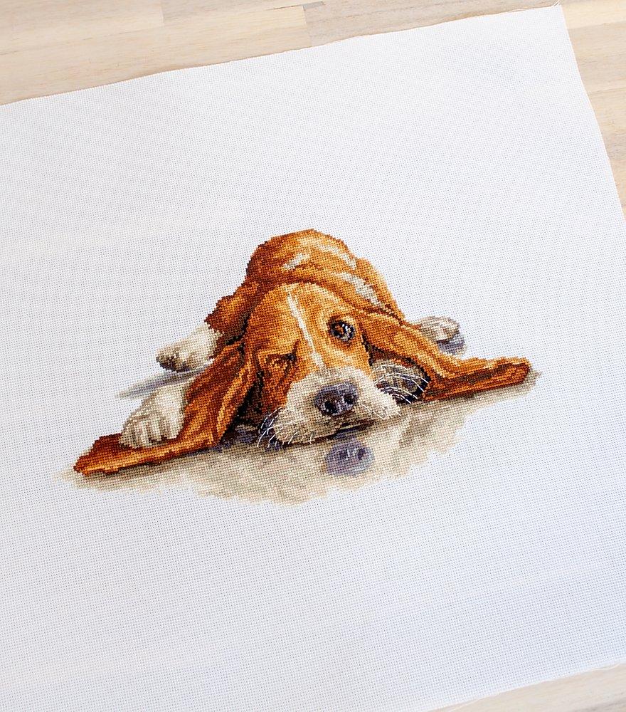 Cross Stitch Kit Luca - S - Basset, B2341 - Luca - S Yarns