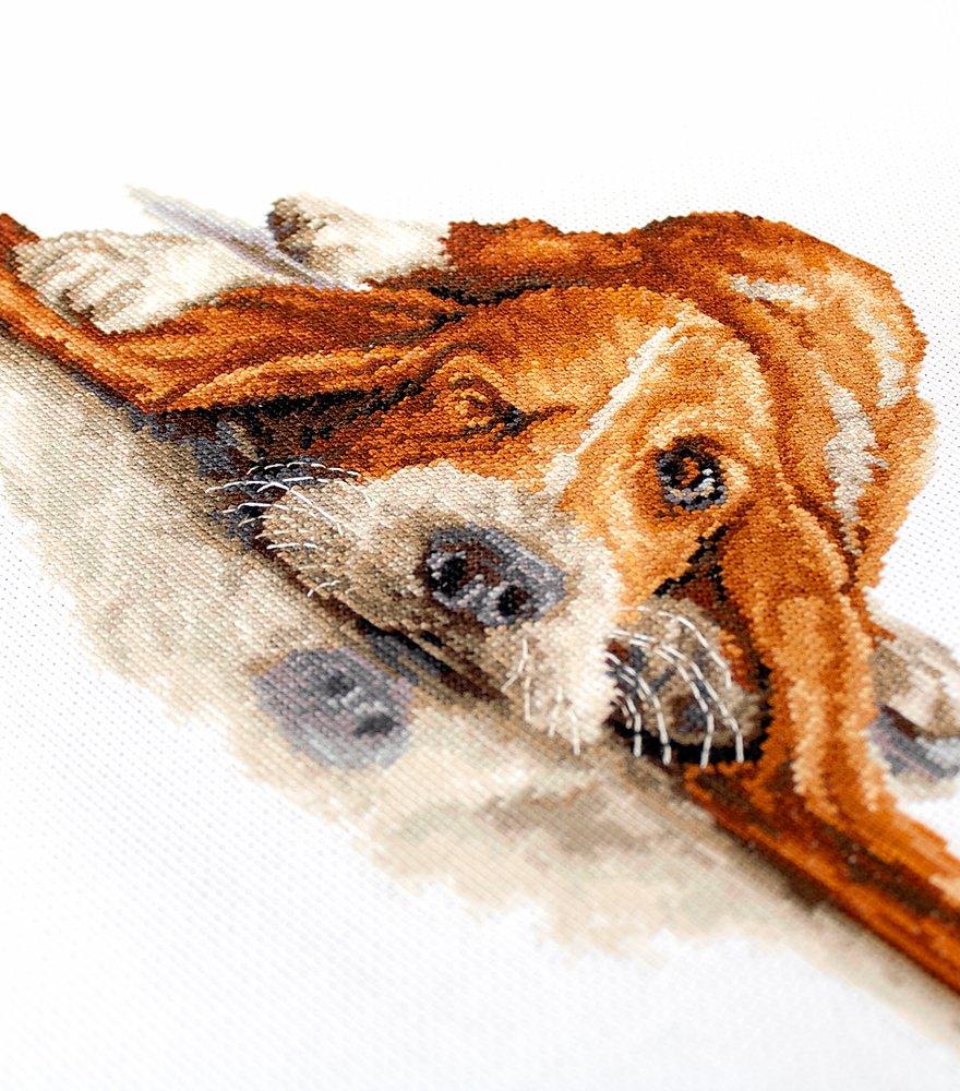 Cross Stitch Kit Luca - S - Basset, B2341 - Luca - S Yarns
